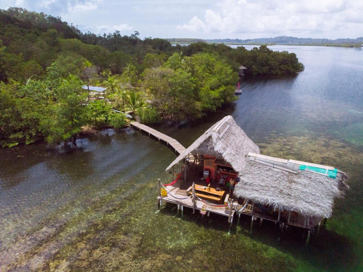 Hotel CocoVivo Bocas del Toro Exterior foto
